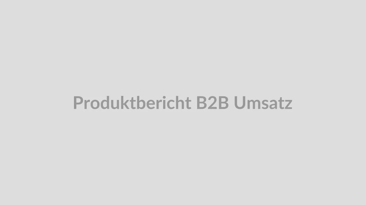 B2B Umsatzbericht